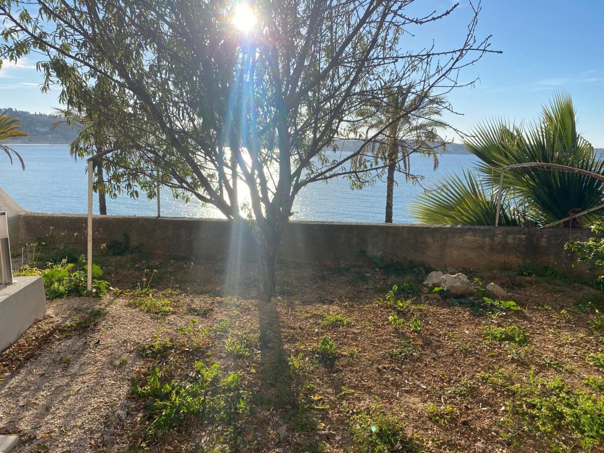 Splendide Studio Miramar Vue Mer Avec Terrasse Bandol Exterior photo
